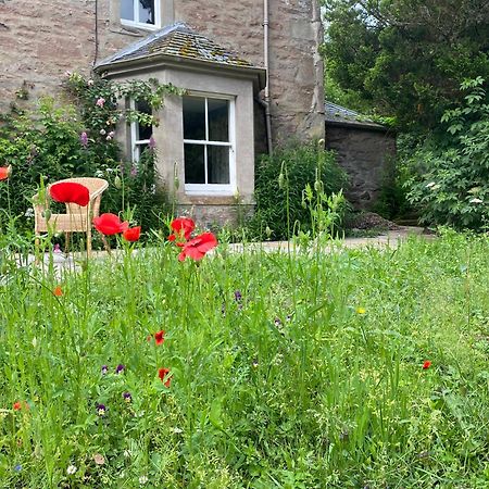 Organic Welltree Bed & Breakfast Saint Martins  Exterior photo