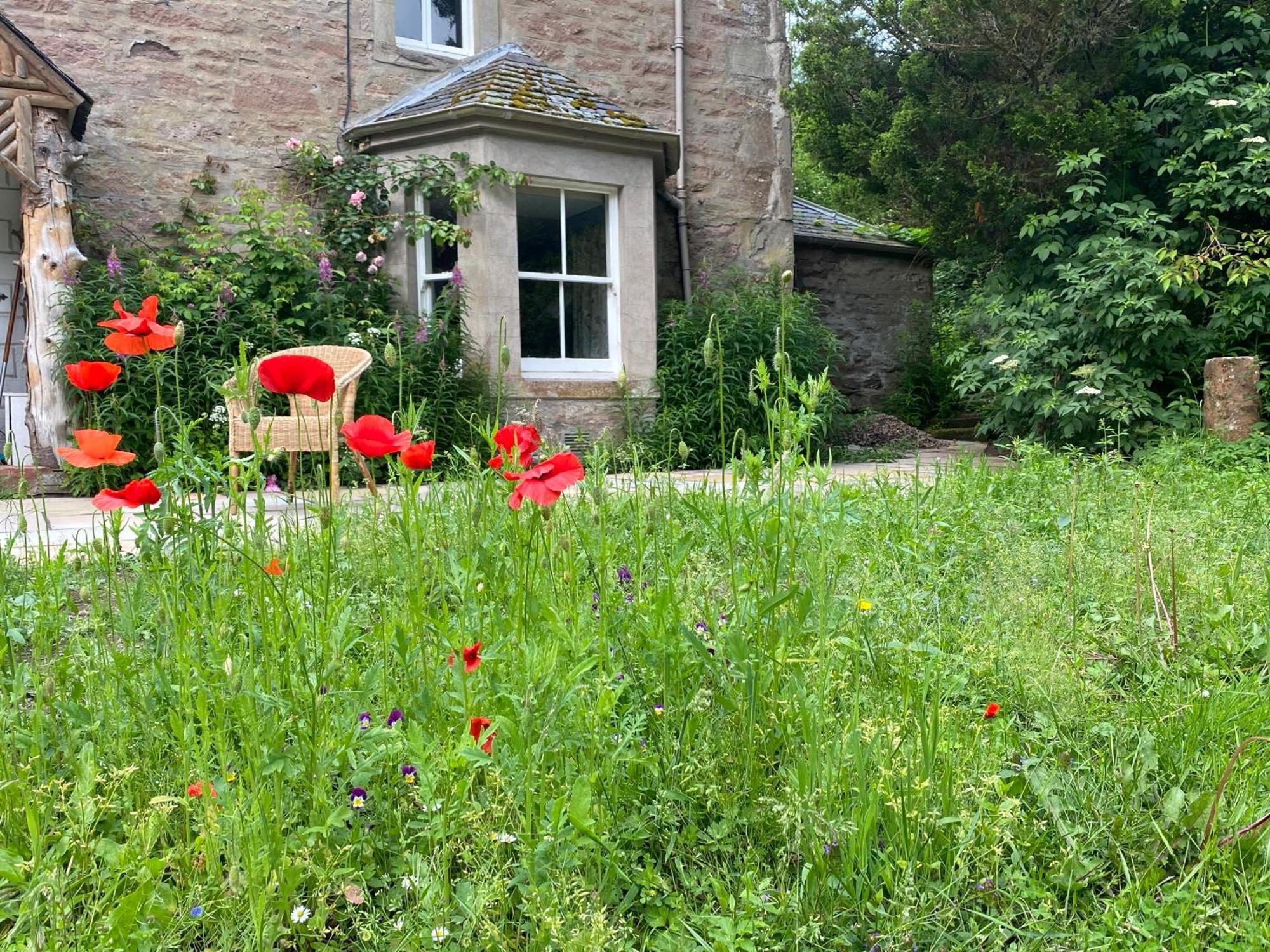 Organic Welltree Bed & Breakfast Saint Martins  Exterior photo
